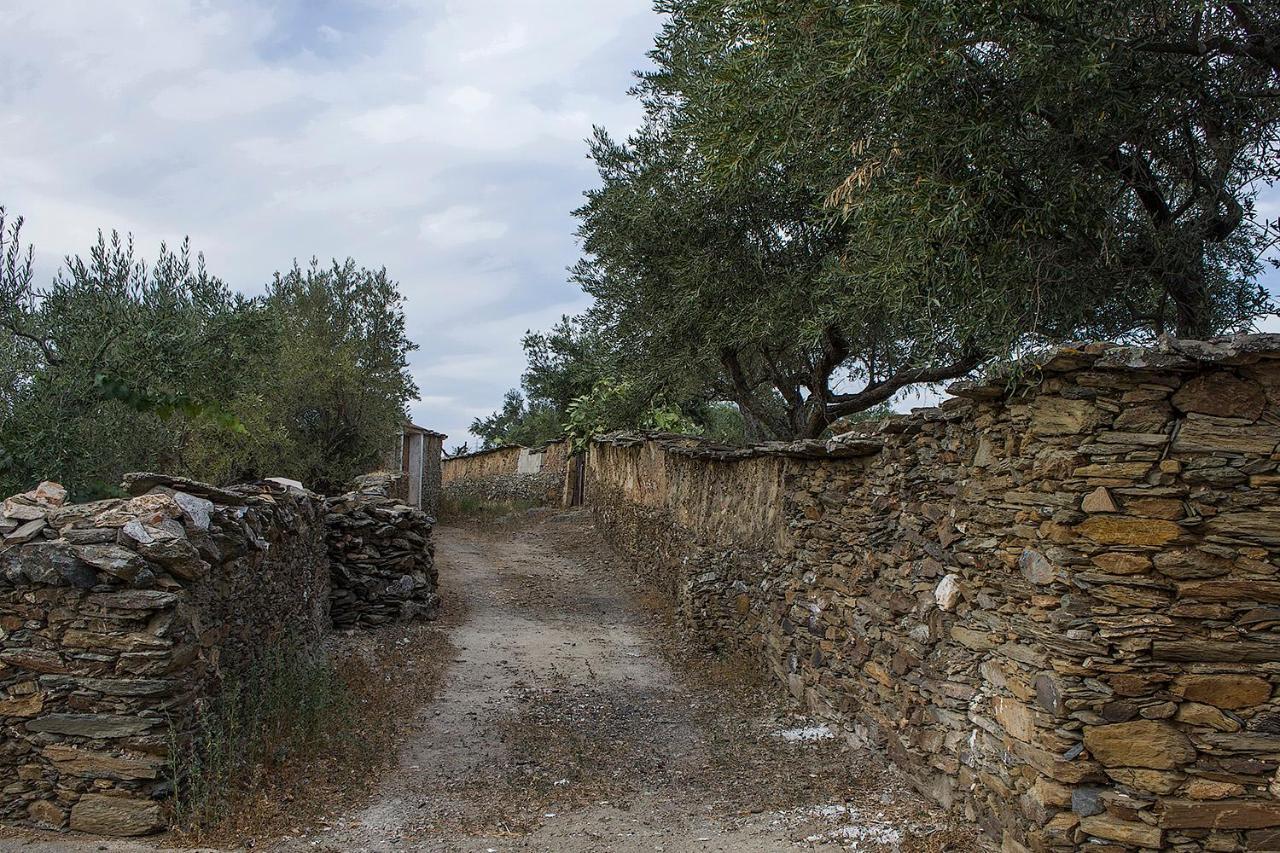 Santiago Del Campo Casa Rural Julio Vegas المظهر الخارجي الصورة
